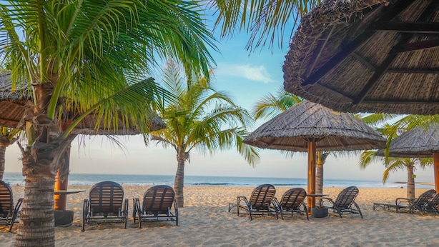 Een strand met rieten parasols, palmbomen en ligbedden.