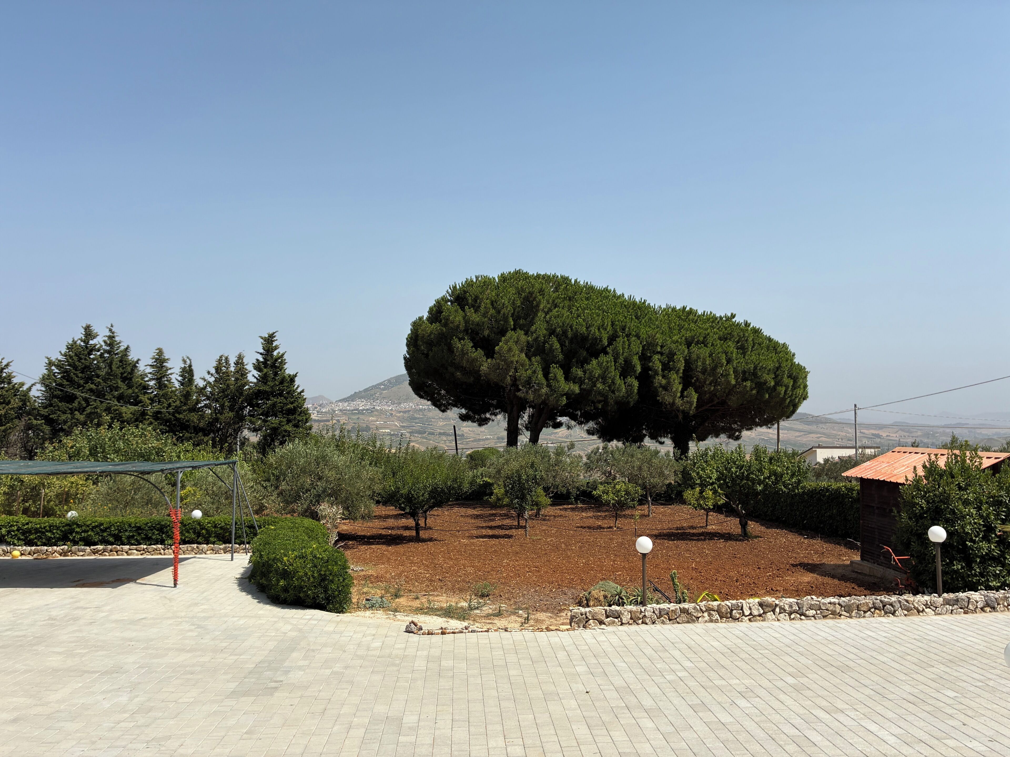 A paved area with a large tree, a small bush, and a stone wall.