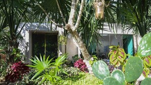 A garden with various plants, a tree, and a hanging pot.