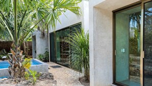 A modern building with a glass door, a concrete pathway, and a small pool area with plants.