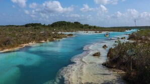 Een rivier met helder turquoise water, omringd door begroeiing en een eiland in de verte.
