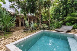 Pool - Casa Catarina, AC, Garden, Pool, Private Villa (Buenavista)