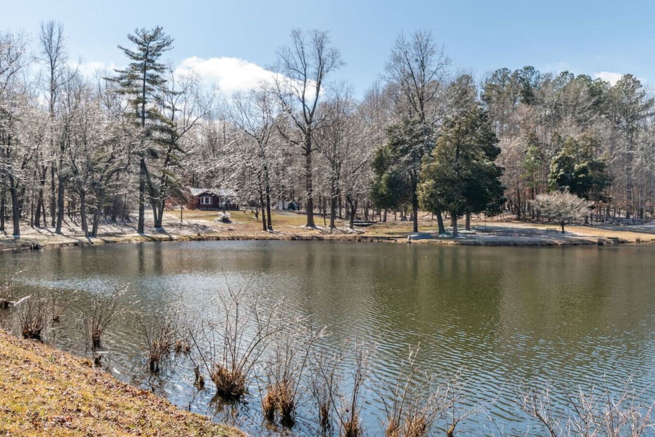 Cabin on the Lake: 2 bed, 1 bath
