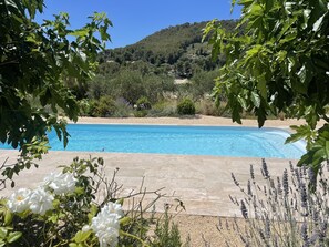 Pool - Pretty villa in the Bandol vineyards, 15 minutes from the beaches. (Le Beausset)
