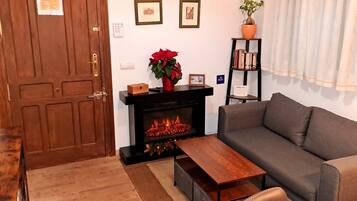 Smart TV, fireplace, books