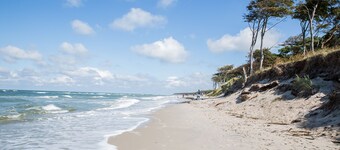 Ferienhaus Schilfrohrsänger 18 - Der Natur Ganz nah
