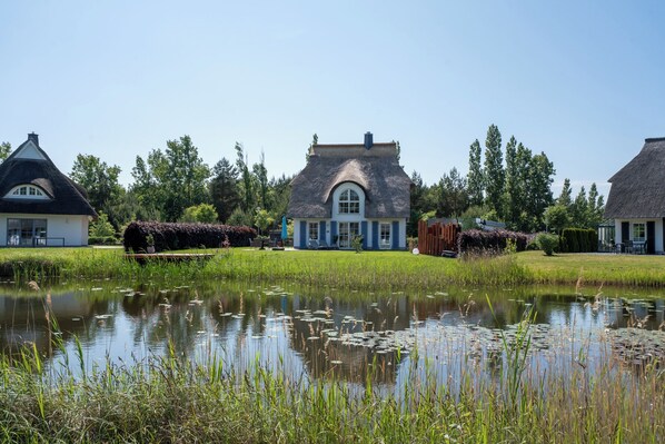 A house with a thatched roof, a pond with reeds, and a well-maintained lawn.