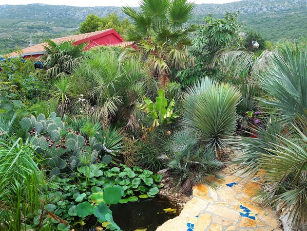 Áreas de la propiedad