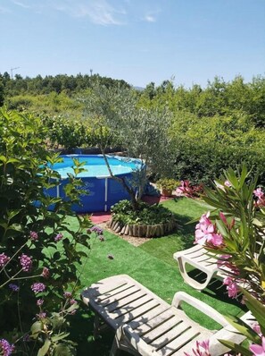 A backyard with a swimming pool, green lawn, and two wooden lounge chairs.