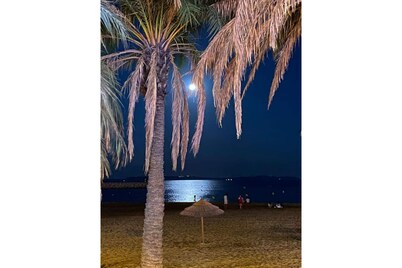 Villa with superb sea view, swimming pool, 350 metres from the beach, air conditioning, garden