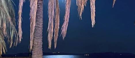 A beach scene with a palm tree and a thatched umbrella.