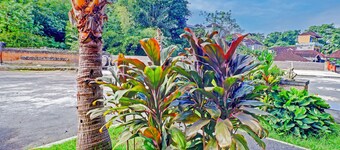 Collection O Bali near Terminal Ubung formerly Batukaru Garden Hotel