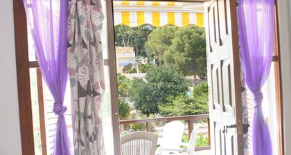 Manila Playa Pp2 PET