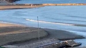 Ein Strand mit einem Leuchtturm in der Ferne, sandigem Ufer und einer Solaranlage.