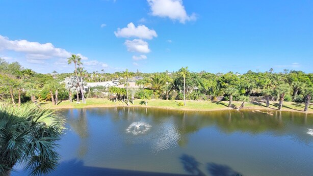 Un lago tranquilo con palmeras y un cielo azul despejado.