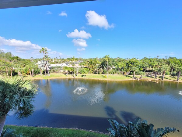 A serene lake with palm trees and a clear blue sky.