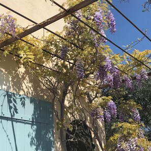 Exterior detail - Pretty Provence house with great views and pool, short walk from hilltop village (Saint-Saturnin-lès-Apt)