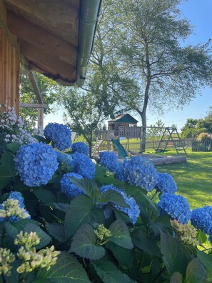 A garden with hydrangea flowers, a wooden structure, and a playground in the background. - Recreation resort for Black Forest fans (Horben)