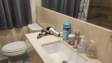 Hair dryer, towels, shampoo, toilet paper