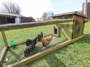 Property grounds - The Retreat (Ventnor)