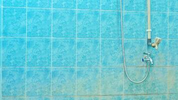 Twin Room | Bathroom | Shower, towels