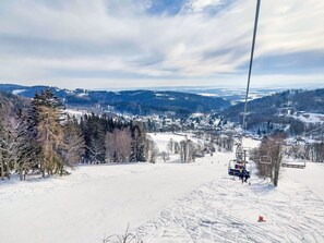 Sneeuw- en skisporten