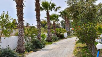 Appartement | Enceinte de lâhĂ©bergement