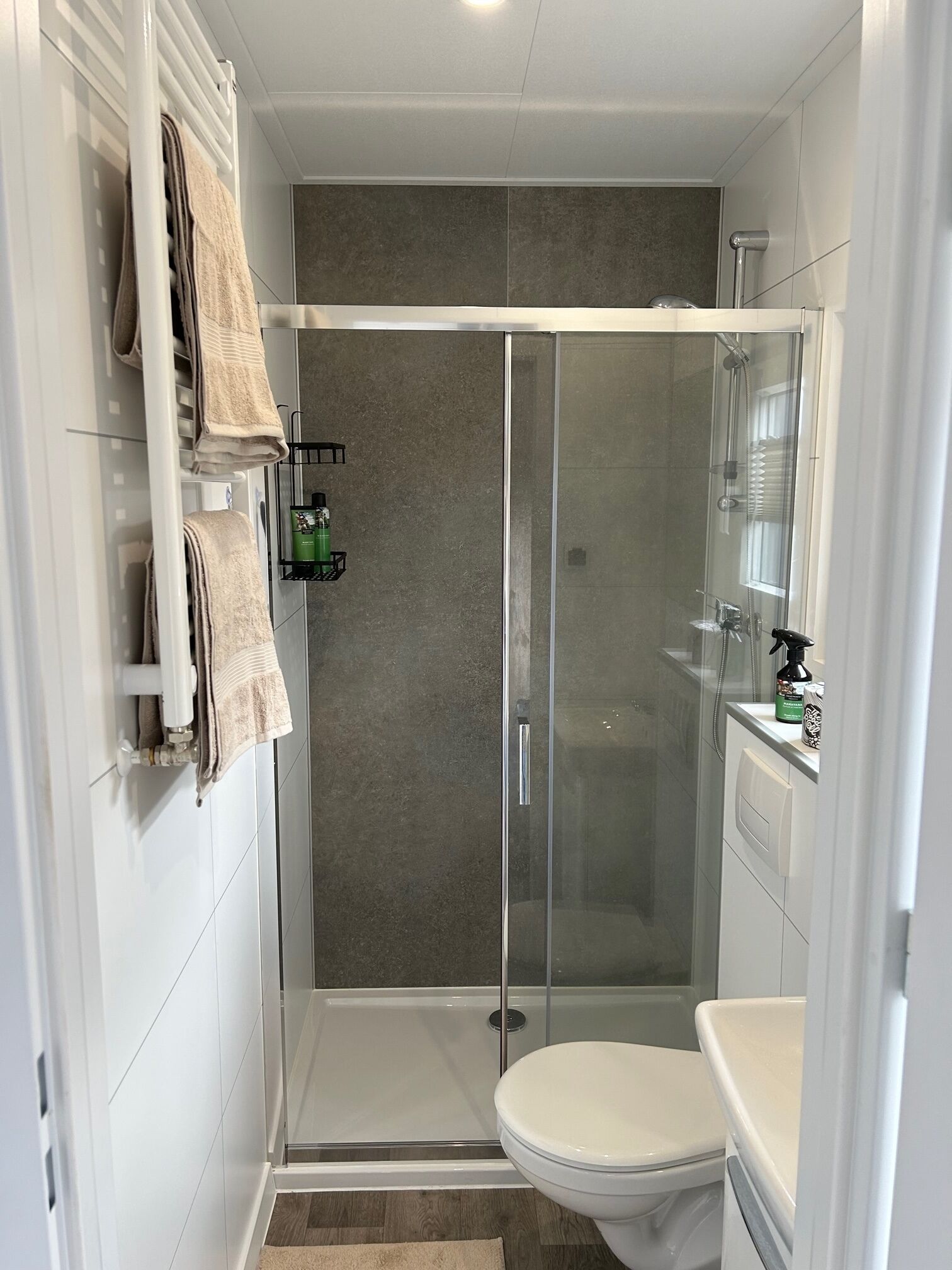 A modern bathroom with a glass-enclosed shower, a toilet, and a towel rack.