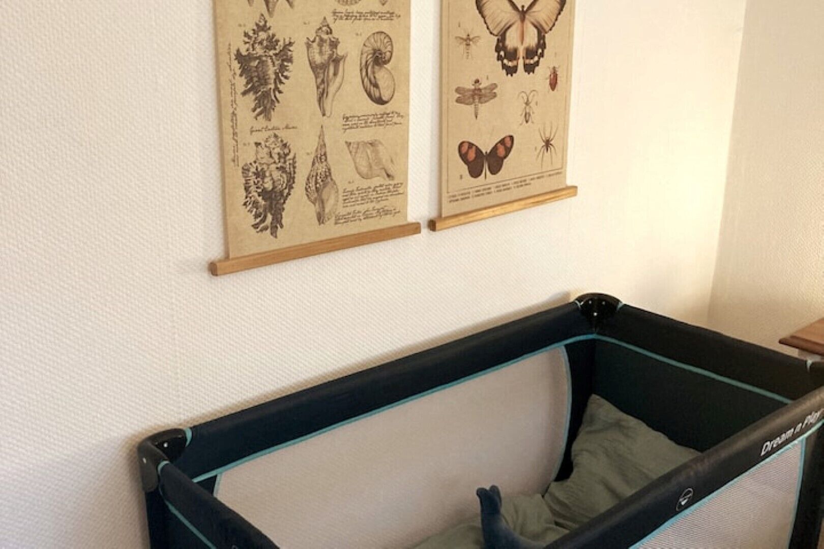 A room with a crib against a white wall, two framed botanical illustrations, and a window with blinds.