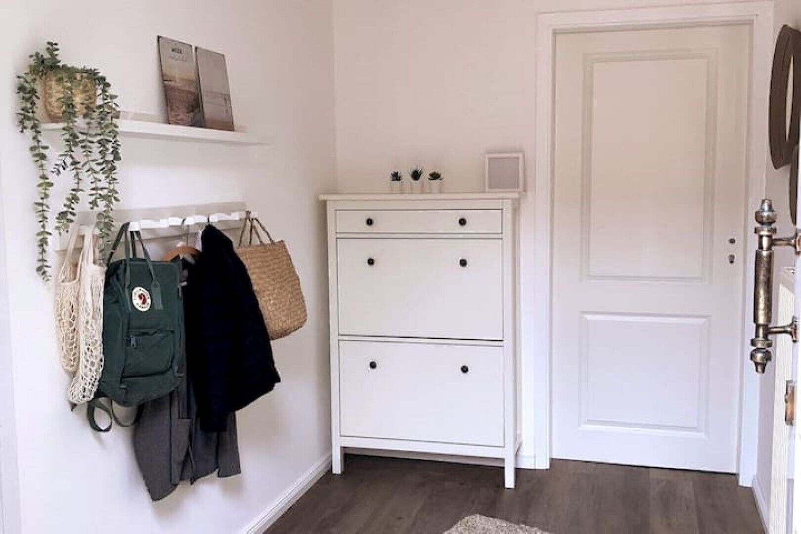 Een witte ladekast met twee lades, een hangplant en een deur met een messing knop.