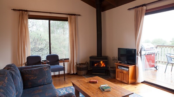 Fireplace, DVD player, books