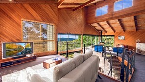 Smart TV, fireplace, books