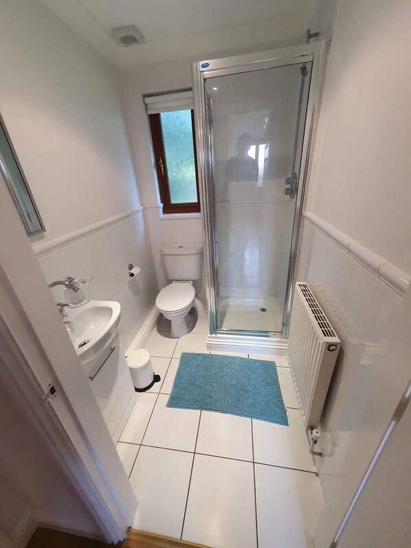 Un baño pequeño con mampara de vidrio, lavamanos, inodoro y radiador.