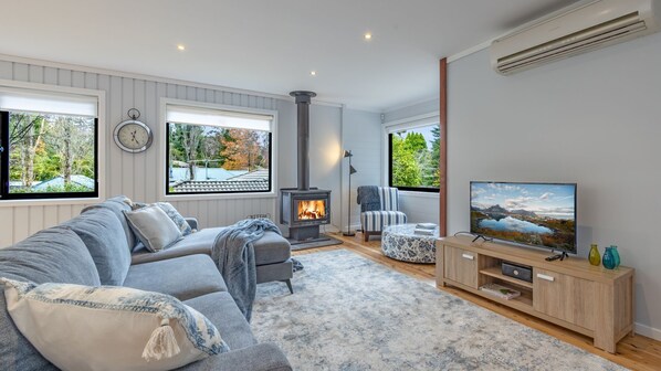 Smart TV, caminetto, libri