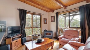 Smart TV, fireplace, DVD player