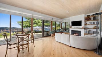 Fireplace, DVD player, books