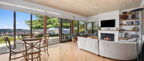 Fireplace, DVD player, books