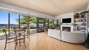 Fireplace, DVD player, books