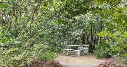 Solitary View @ Wentworth Falls