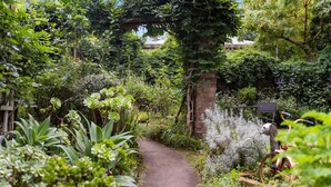 Een tuinpad met een bakstenen muur, diverse planten en een fiets.