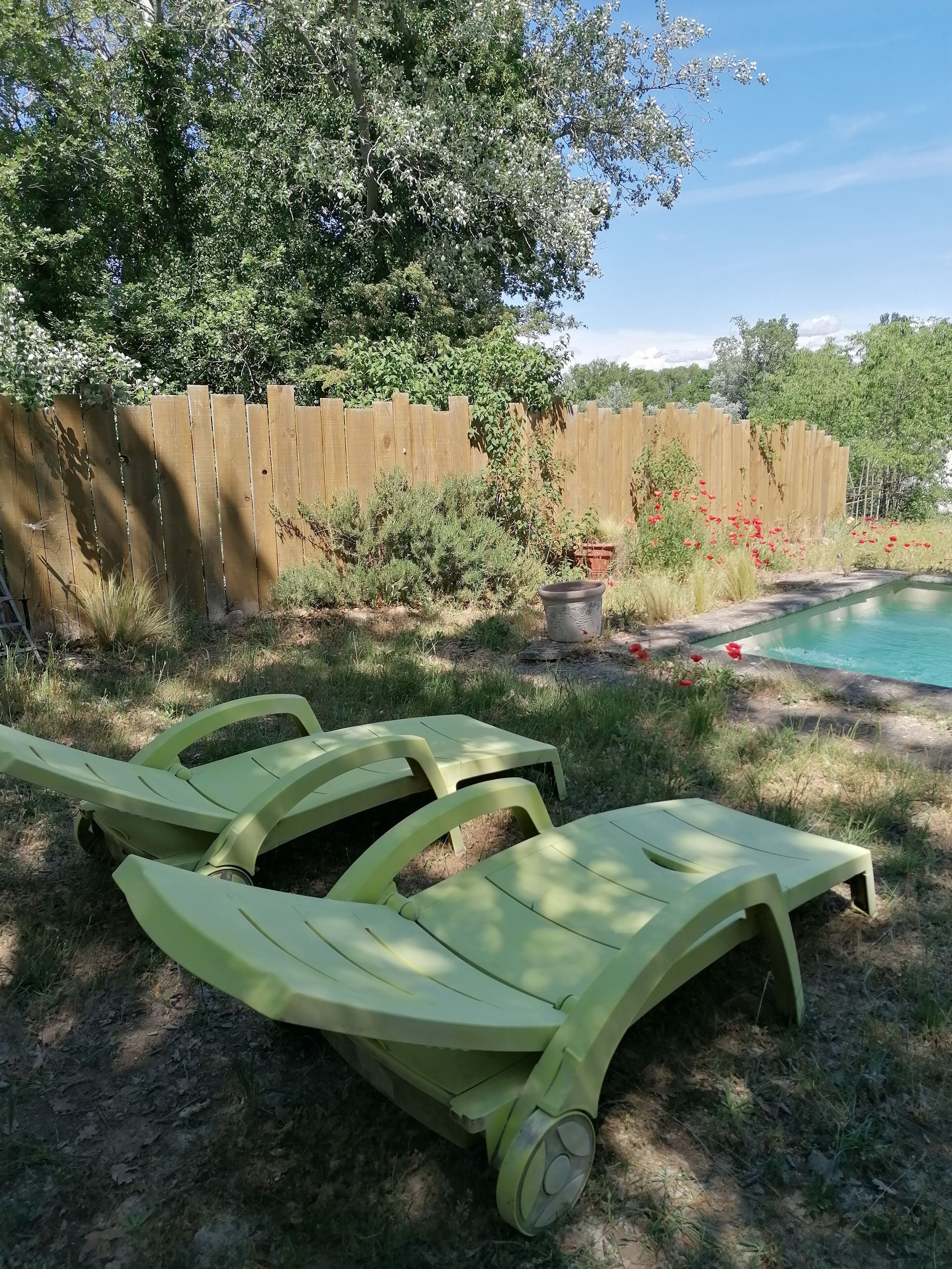 A backyard with a wooden fence, a swimming pool, and two green lounge chairs.
