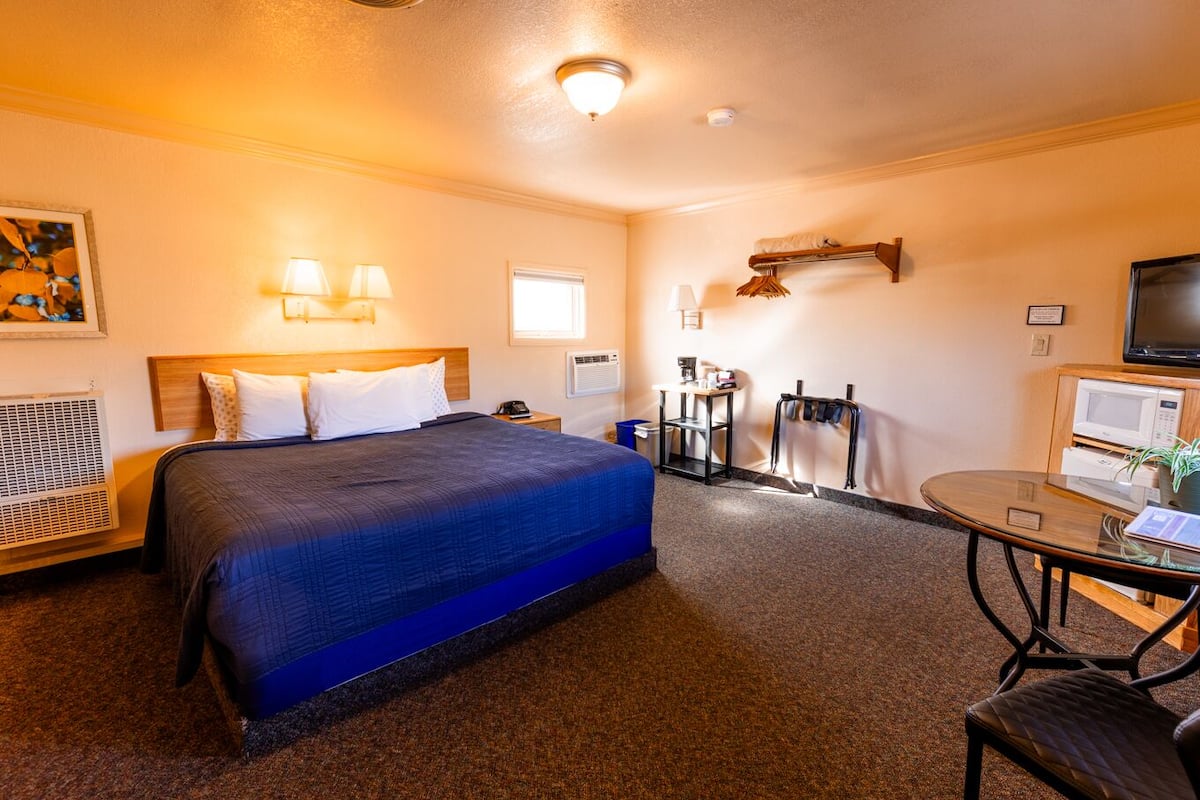 A hotel room with a bed, bedside lamps, a desk with a chair, a TV, a microwave, and a small table with a plant.