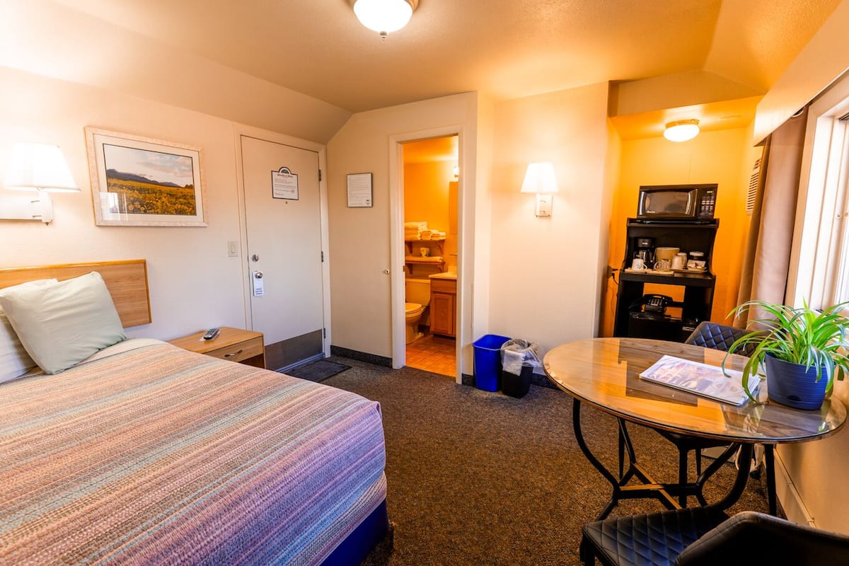 A hotel room with a bed, a desk, a dining table, a microwave, and a potted plant.