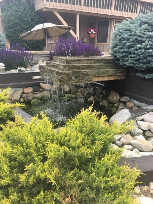 Um jardim com paisagismo, apresentando uma cascata de pedra, rodeado por arbustos verdes e um deck de madeira.