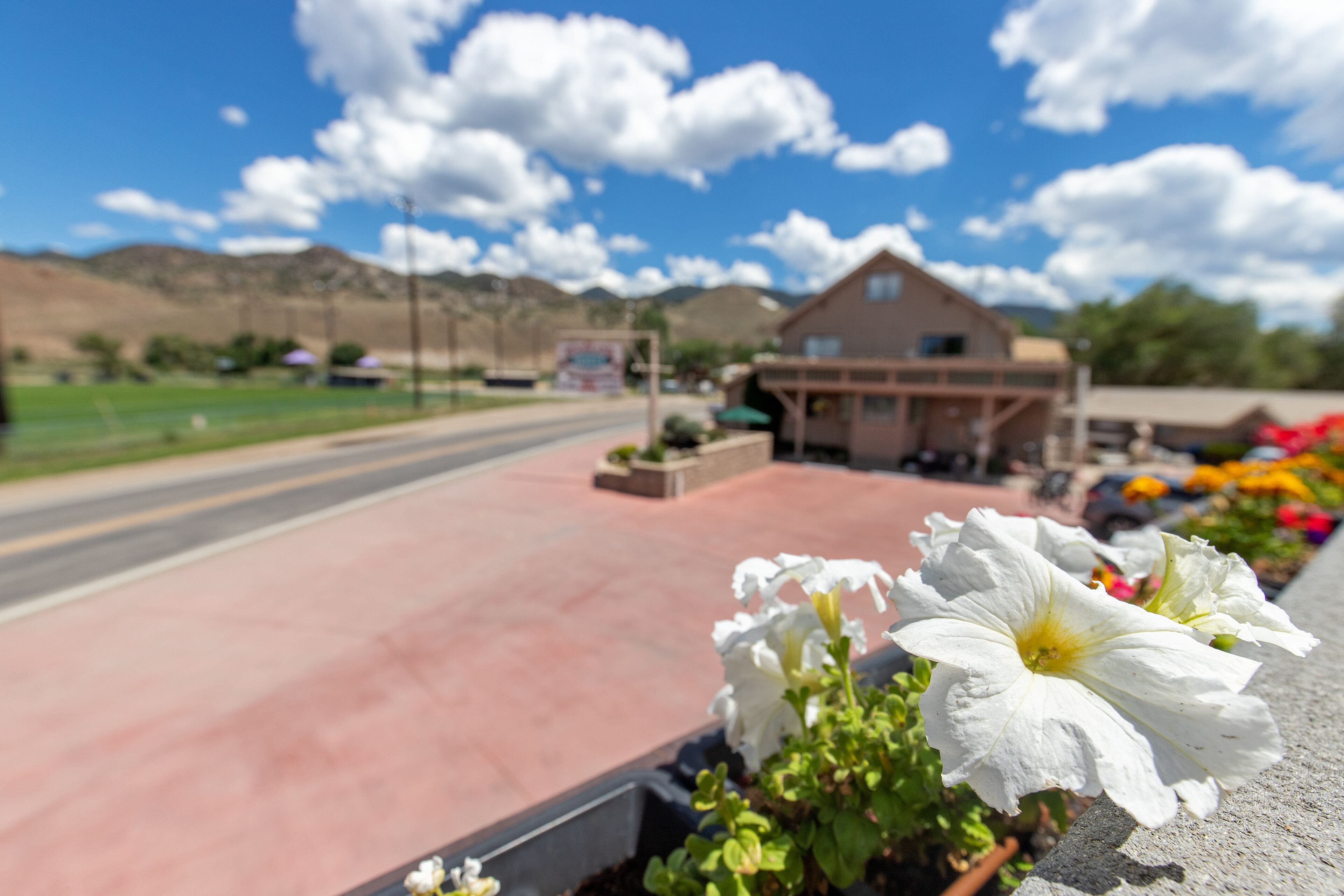 A building with a red-paved entrance, a flower bed with white flowers, and a clear blue sky with clouds.