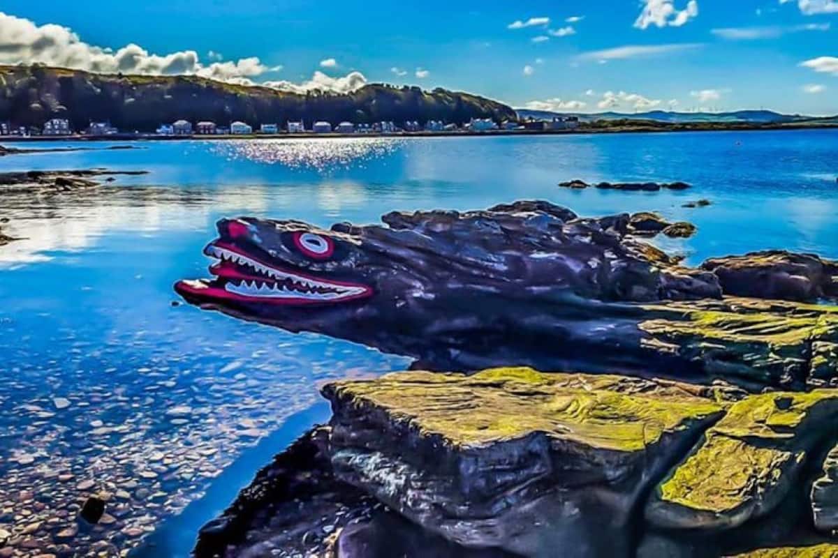 Eine felsige Küstenlinie mit klarem, blauem Wasser und einer großen Haifisch-Skulptur.