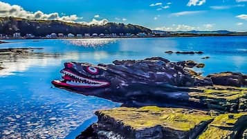 Individually decorated, individually furnished, iron/ironing board