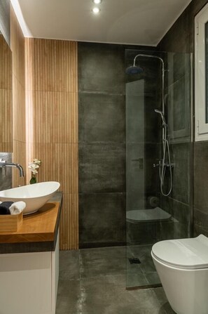 Regadera, secadora de cabello, toallas, jabón 