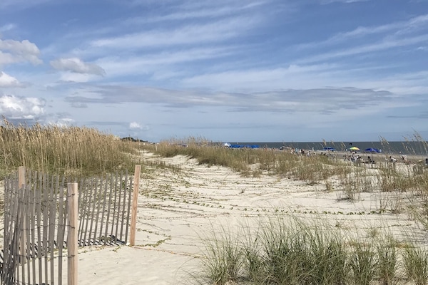 En la playa y camastros