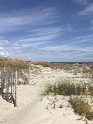 A sandy beach with a wooden fence and sparse vegetation.